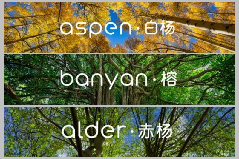 蔚来车机“全家桶”大升级 让智能座舱“卷”出天际(图1)