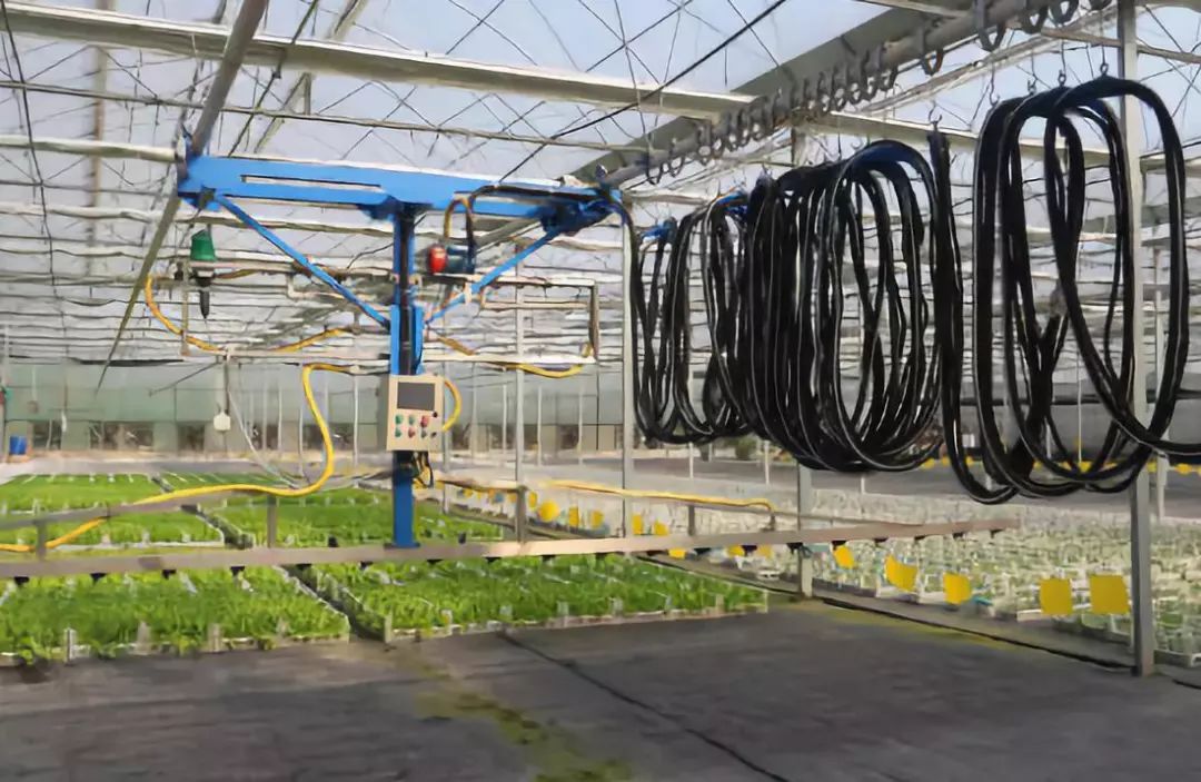 新春走基层丨夷陵：空中立体种植草莓 玩转现代农业科技(图1)