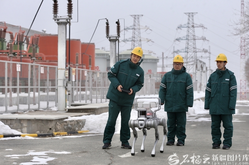 聚焦丨统筹疆内外资源 持续增强科技创新实力(图1)