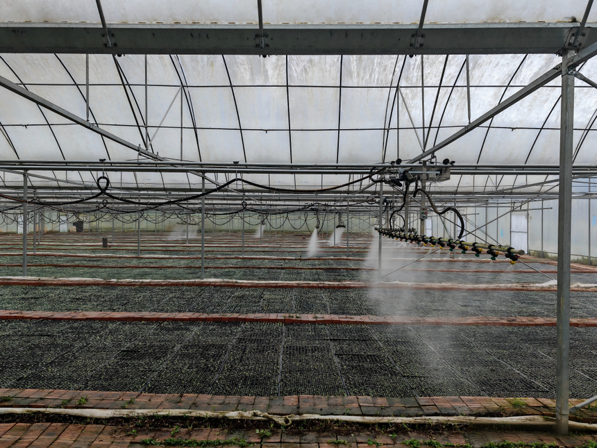 习水县桑木镇：自动化喷淋赋能烤烟育苗 科技护航春耕生产(图2)