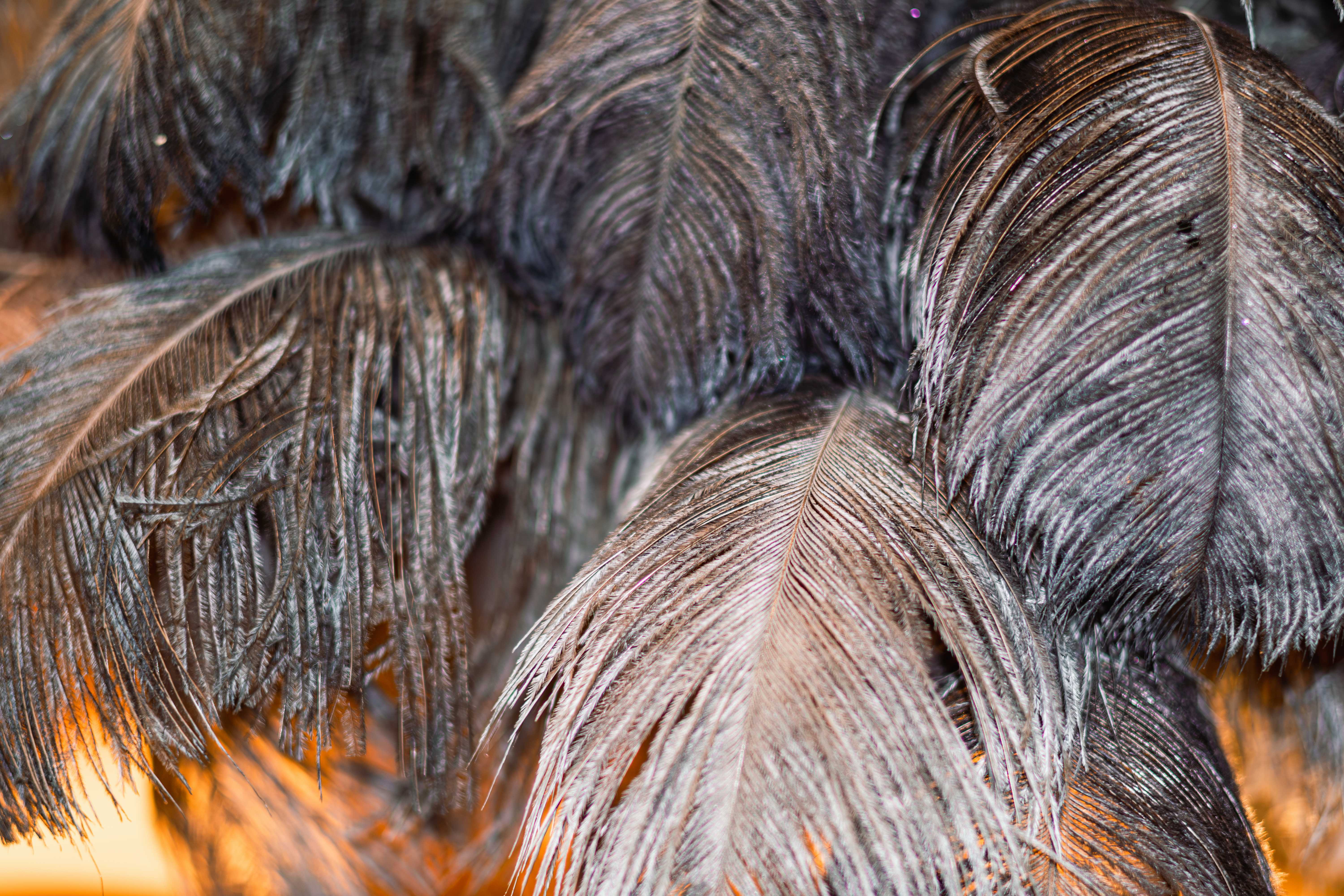 挖到宝了捉到口袋里记录生活的小精灵！(图11)