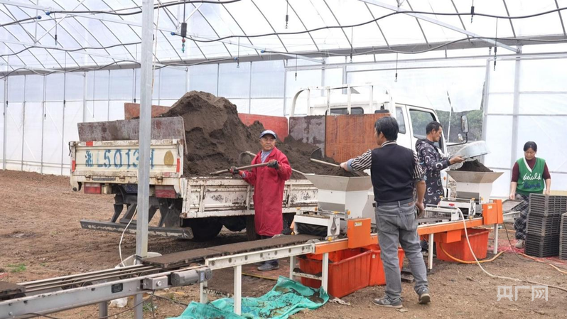 湖南临武：智能大棚育秧忙 科技赋能助春耕(图1)