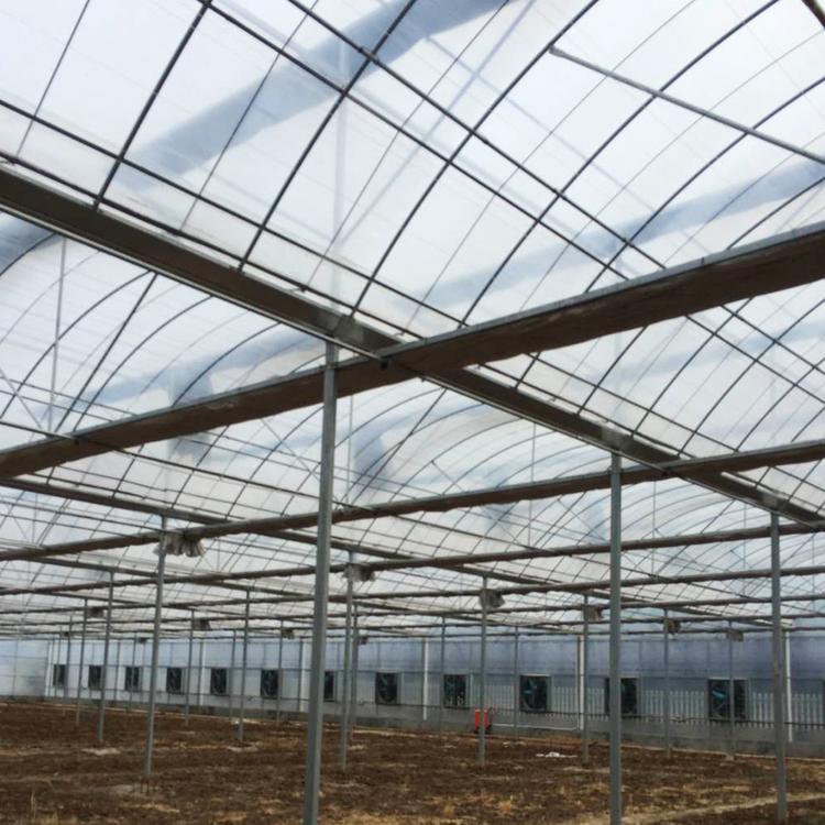 电暖春风里 菌香富民路(图1)