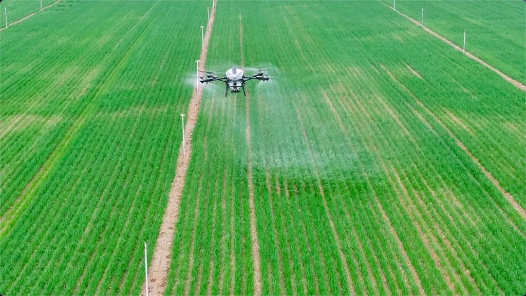 人工智能“开处方” 智慧农机进麦田(图2)