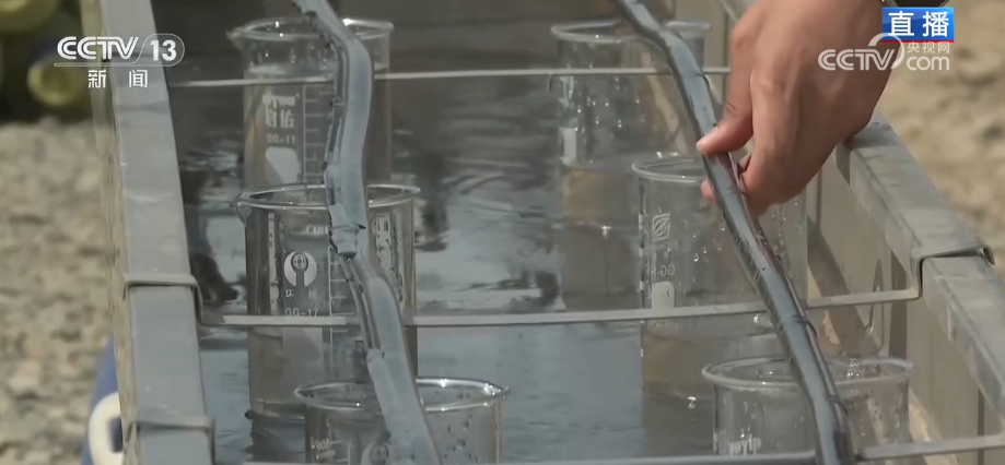 “北斗导航+智能播种+精准滴灌”显身手 新疆棉花以“硬科技”夯实“软实力”(图2)