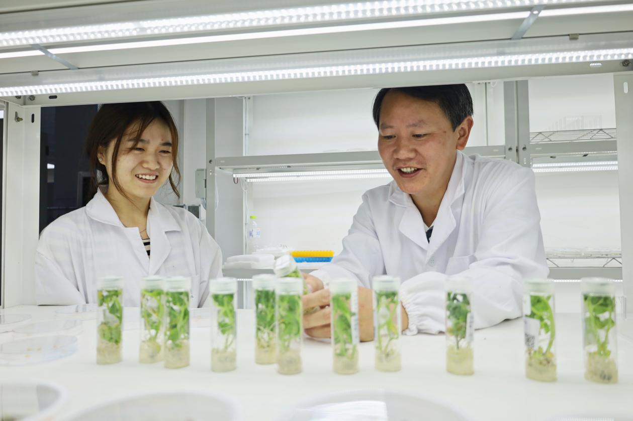 潍坊峡山：科创赋能现代农业高质量发展(图2)