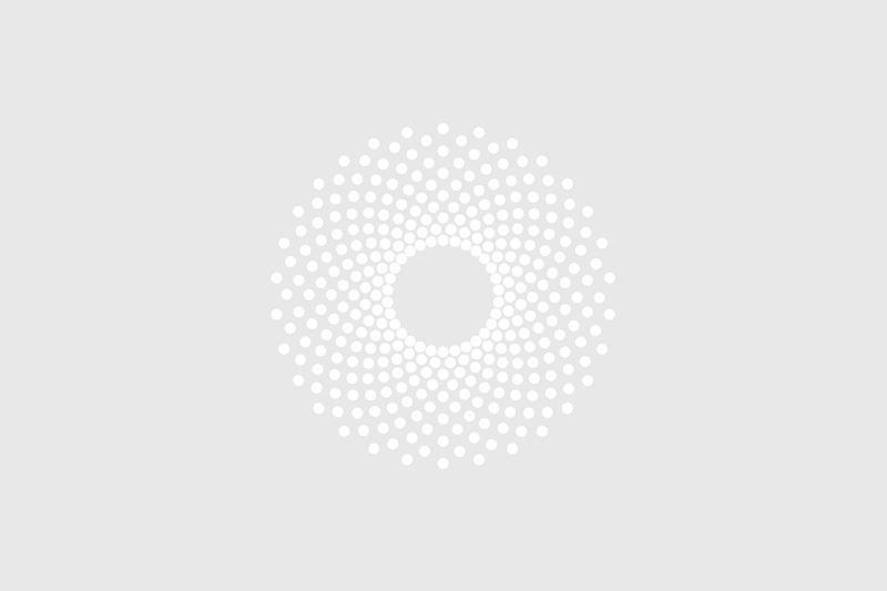 国内首颗车规级多域融合芯片红旗1号研制成功(图2)