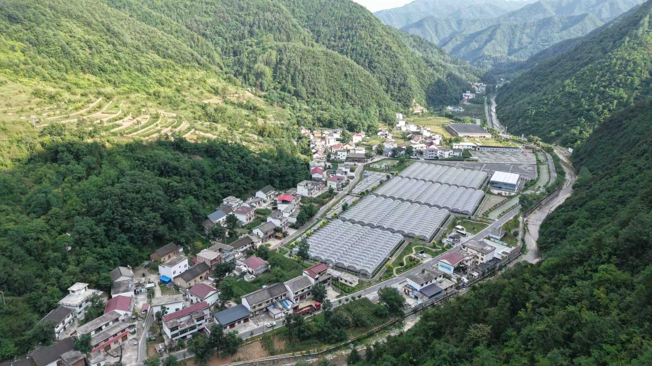 杨凌科技润秦岭循环种养铺就金米共富路(图6)