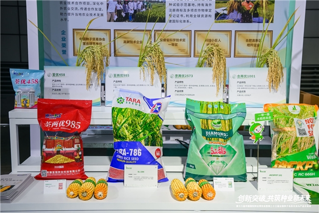 中种集团携手荃银高科构建水稻产业全球布局(图2)