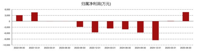 概伦电子2174亿并购锐成芯微与纳能微EDA龙头加速转型“一站式芯片设计平台”(图2)