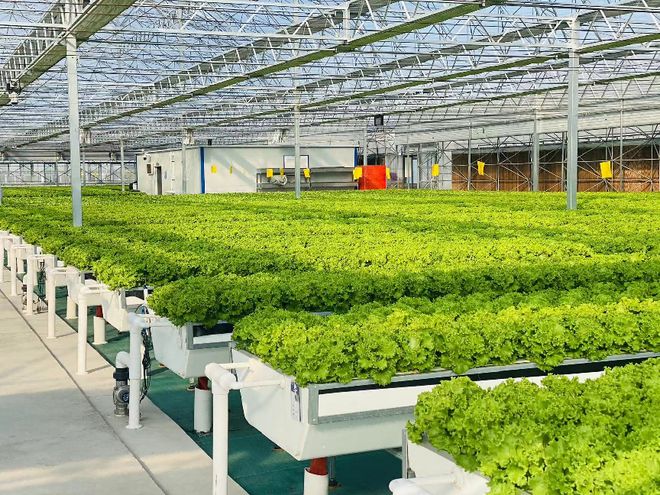 虫草大棚加湿器的核心优势与高效运作原理深入解析-泰鼎实业(图1)