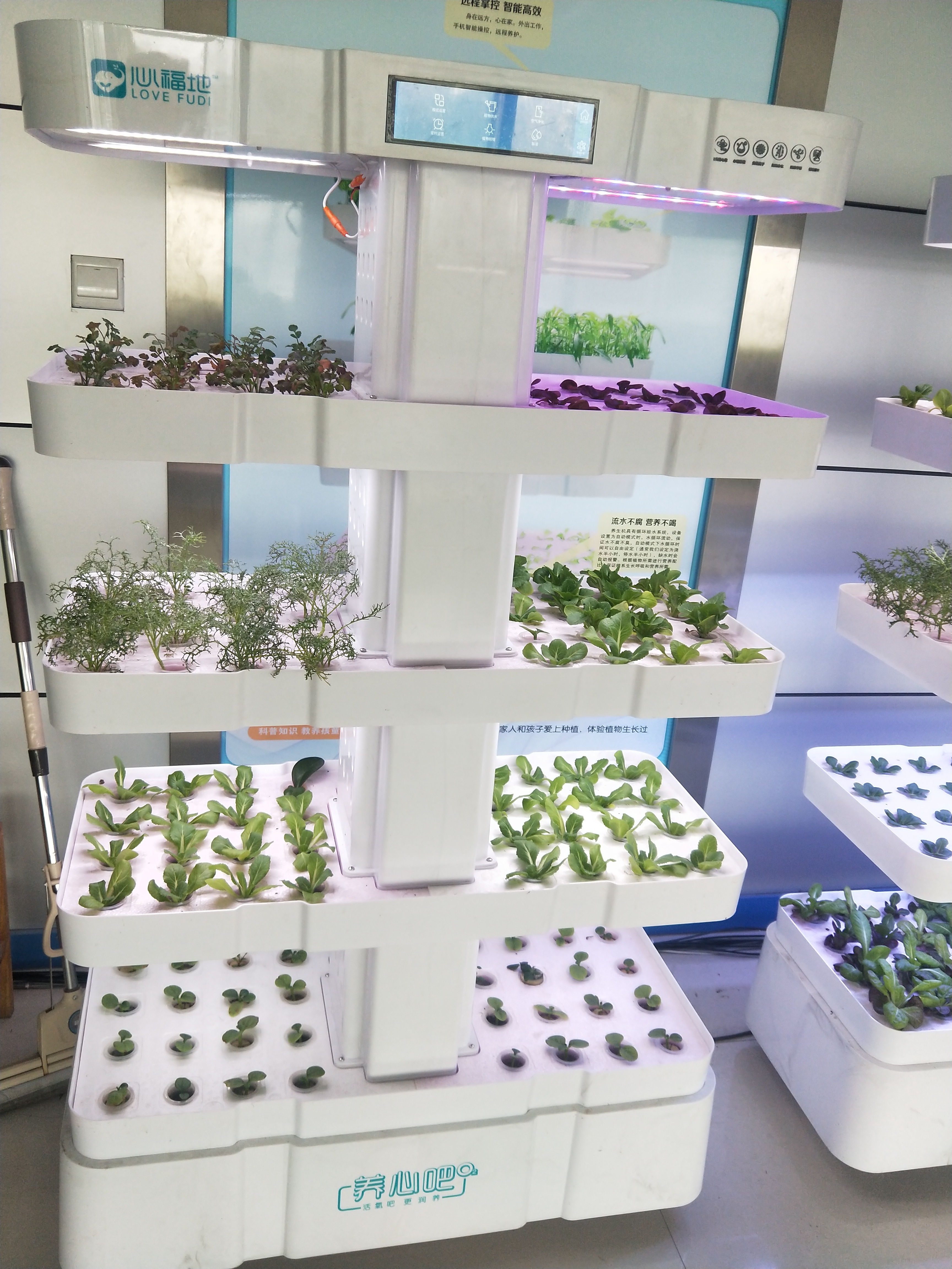 国家级案例！麦麦科技集团农业AI种植模式入选2025年智慧农业典型案例(图1)