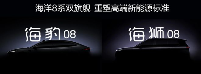 四年累销超600万辆百万海豚助力海洋网发展加速度(图2)