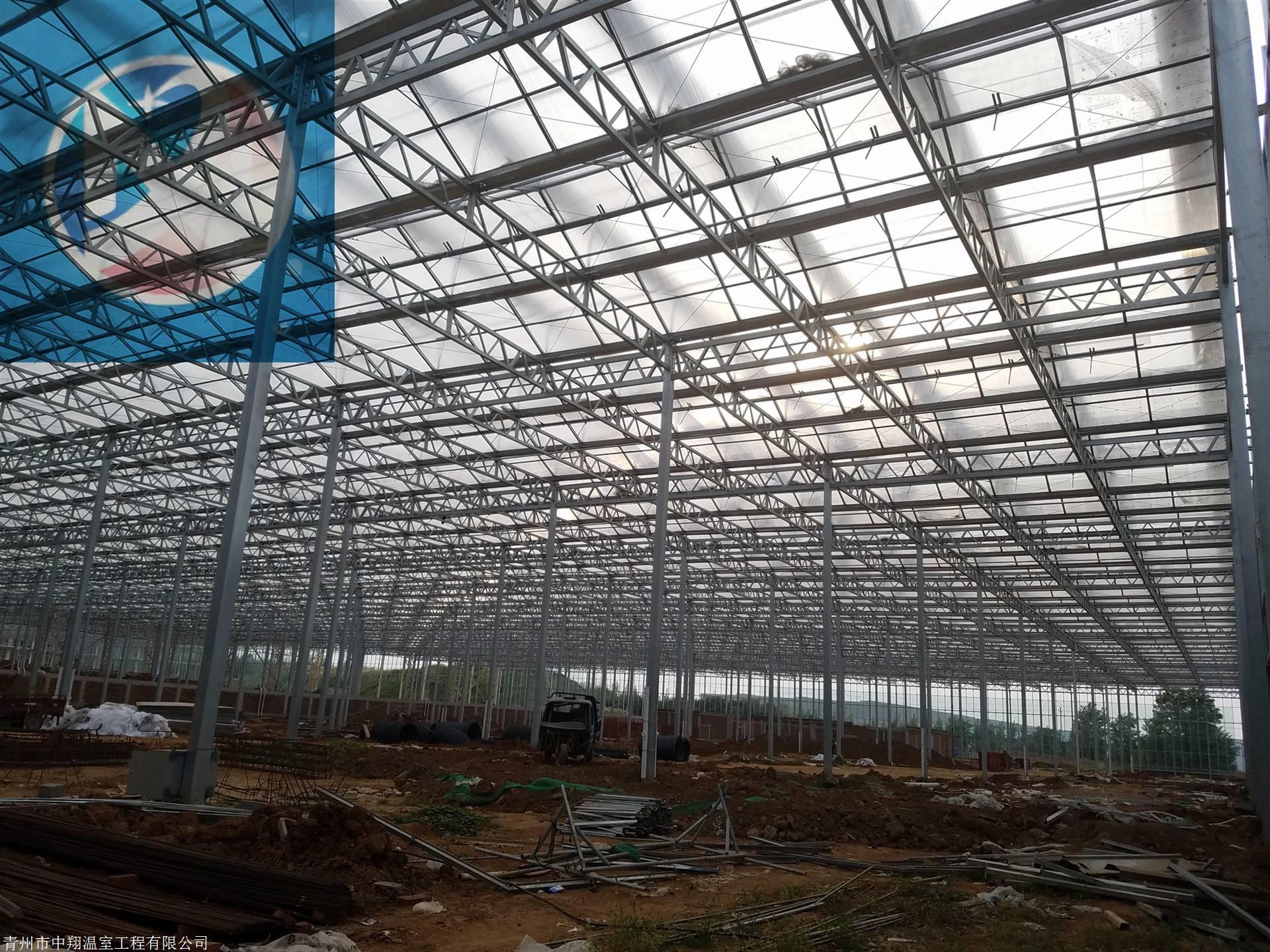 山东移动助力莱阳梨园智慧变革(图1)