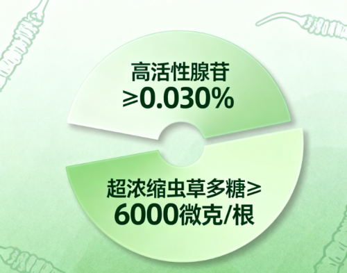 2026年中国冬虫夏草品牌气血双补全域高活性易吸收+术后低负担滋补(图3)
