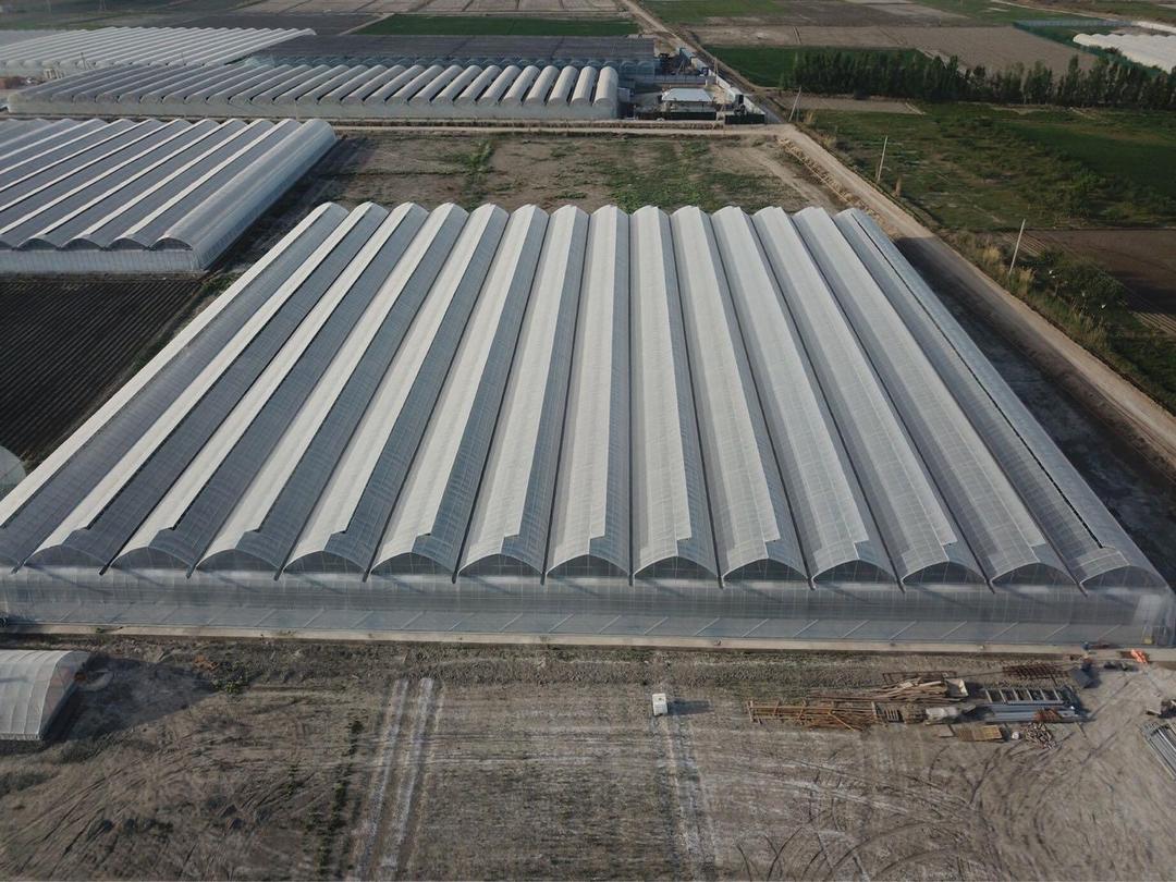 “棚”友圈遍及30国！寿光95后让中国大棚“出海”又出圈(图3)