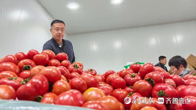 新春走基层程序员回乡种番茄：一个西红柿里藏着28项专利(图1)