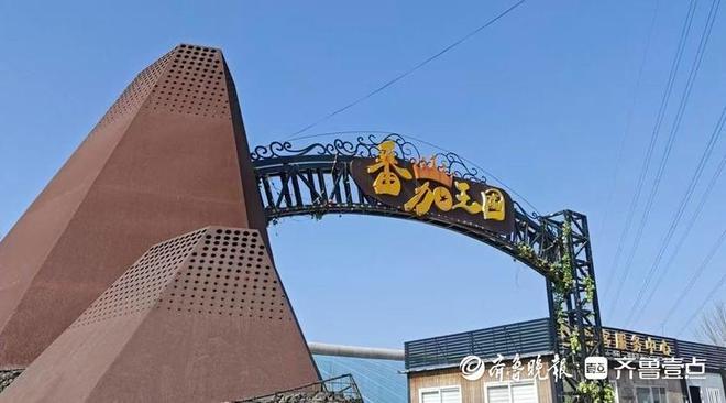 新春走基层程序员回乡种番茄：一个西红柿里藏着28项专利(图2)